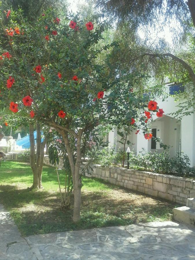 Tenda Hotel Bodrum Zewnętrze zdjęcie